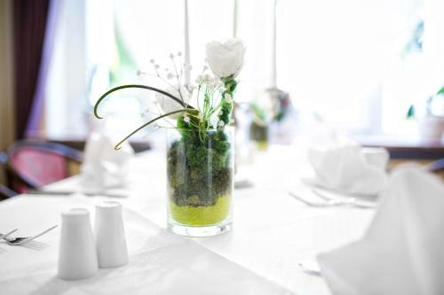 Park Hotel Meerane