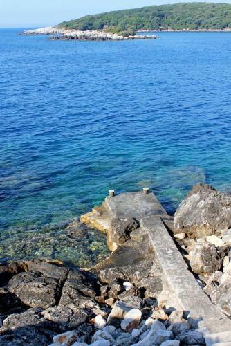 Apartamentos Studio Molunat 14613b