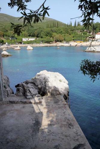 Apartments By The Sea Molunat (dubrovnik) - 8550