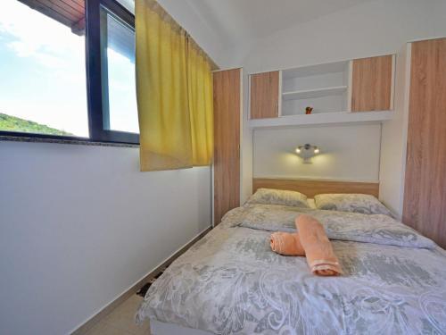 Apartment Branka.2