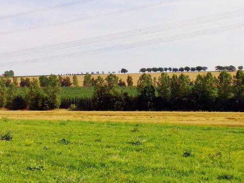 Hostal Pension & G�stehaus Villa K�hn