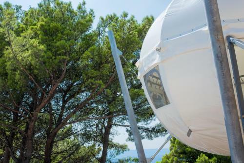 Medora Orbis Mobile Homes & Glamping