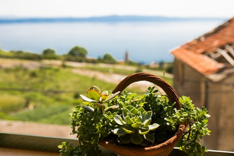 Holiday Home - 300 Years