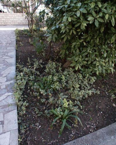 Apartment Podaca 515a