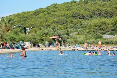 Apartment Pirovac 6447a
