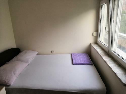 Apartments Brle?i?