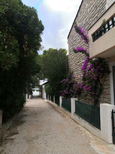Apartments Brle?i?