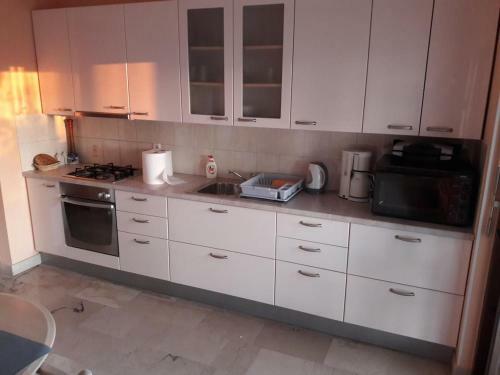 Apartment Kozino 14723b