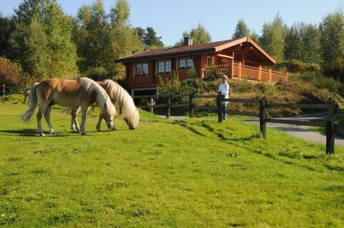Hotelanlage Country Lodge