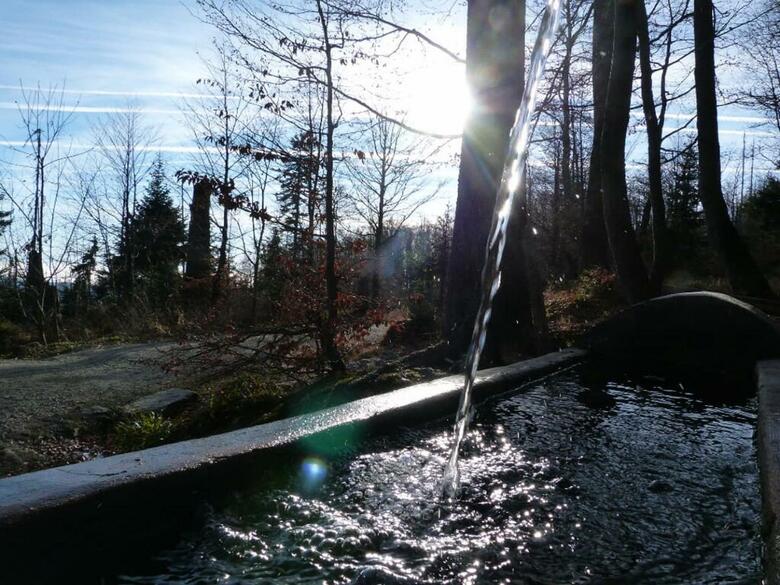 Hotel-gasthof Zum Bach