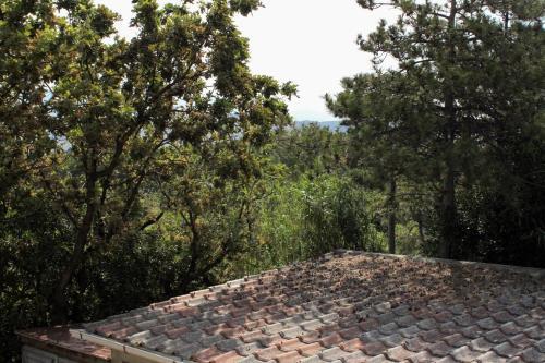 Apartments With A Parking Space Bosana (pag) - 6434