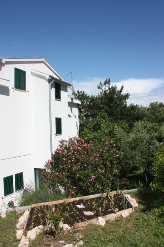 Apartments Wind