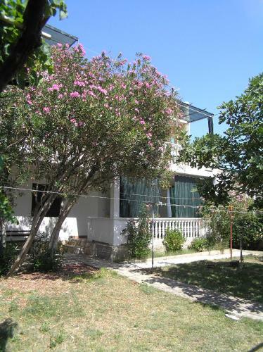 Nevenka Apartment