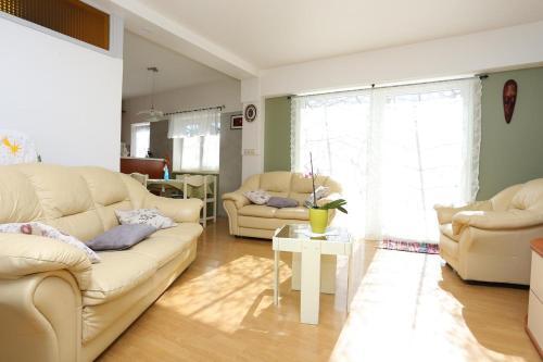 Apartment Ostrvica 13749b