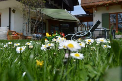 Hostal Pension Willibald