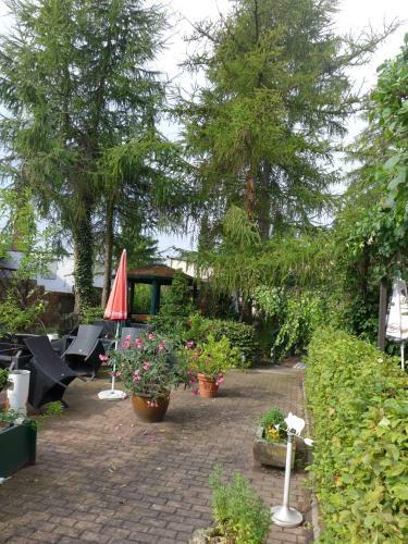 Hostal Hotel L�wenhof