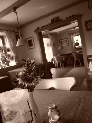 Hostal Landhaus Pension Traunbachh�usl