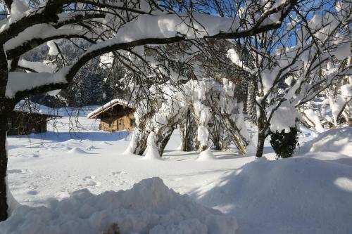Chalets & Apartments Beim Waicher