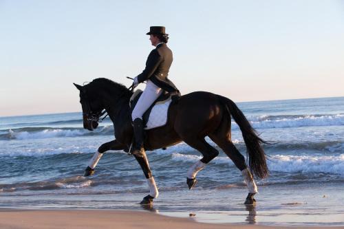 Hotel Los Caballos