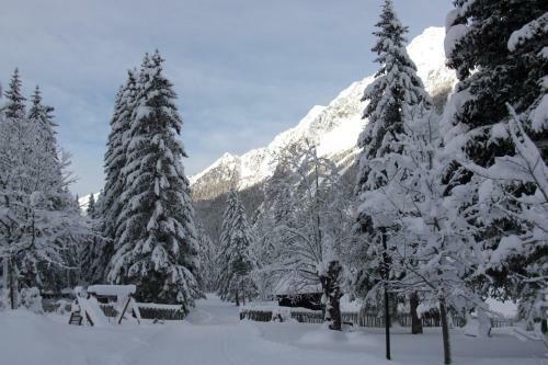 Hotel Seehaus - Mountain Lake Resort