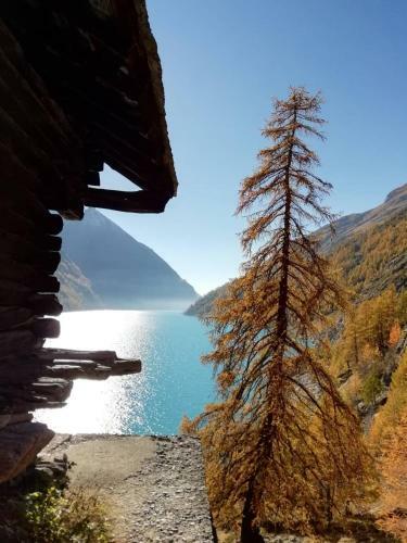 Apartamento Appartamenti Luseney
