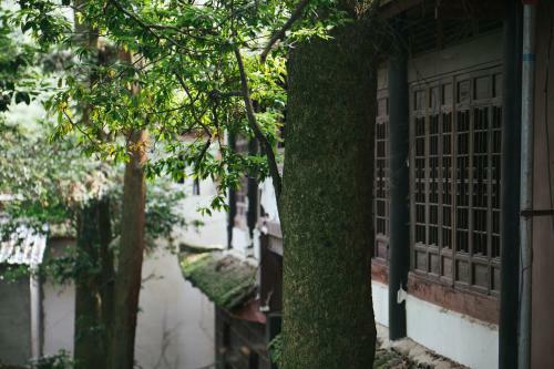 Posada Qingchengshan Yuanming Palace