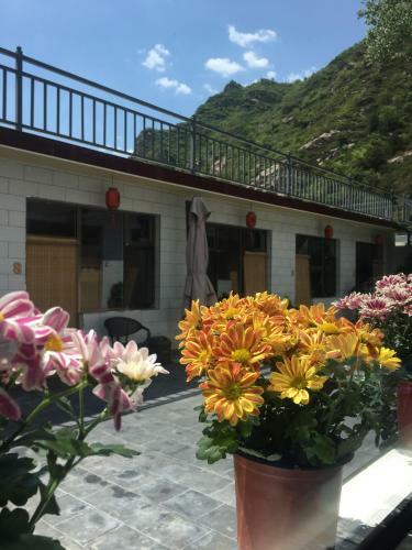 Hotel Miaoqu Inn Wutaishan