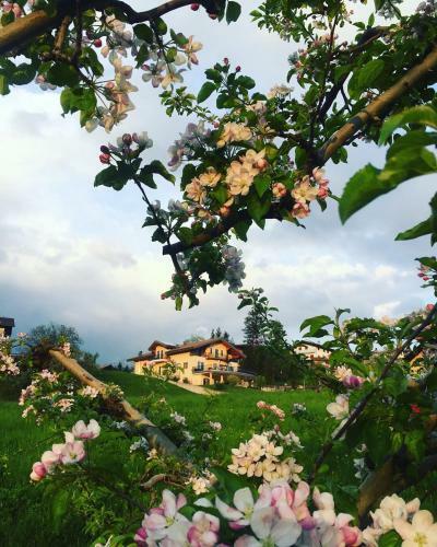 Hostal Affittacamere Dolce Sogno