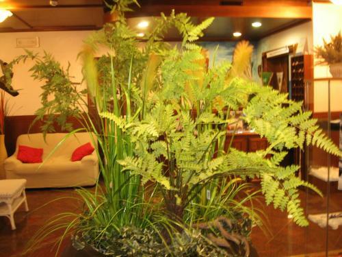 Hotel Marianna