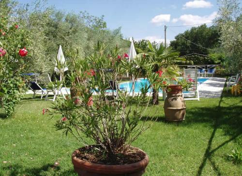 Apartamento Poggio Pinci
