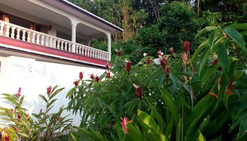 Apartamento Precious Residence C