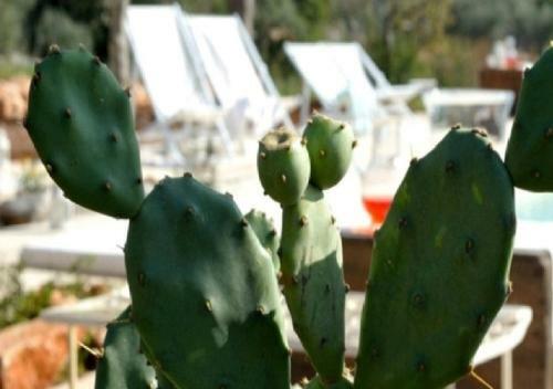 Agroturismo Masseria Montefieno