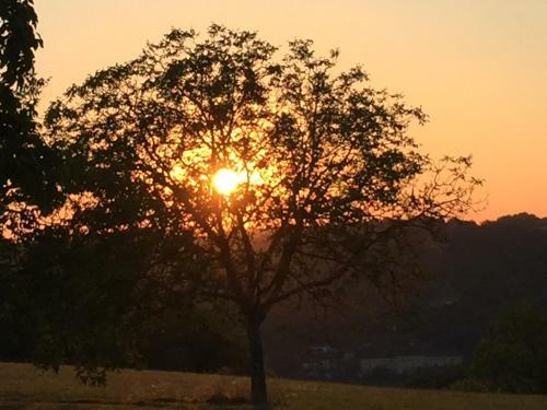 Bed & Breakfast Domaine De Lascaux