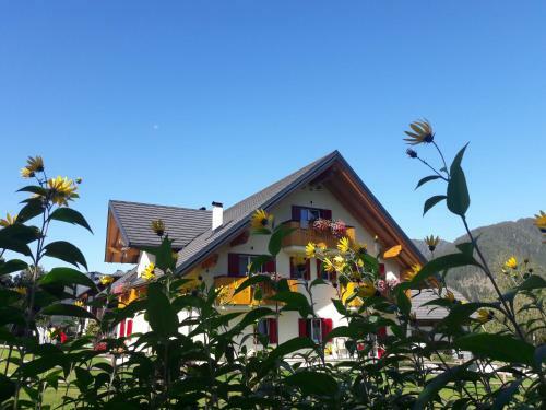 Bed & Breakfast Al Buondi
