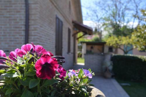 B&B Madonna Carradori