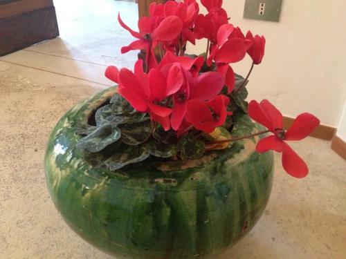 Bed & Breakfast Casa Marilla