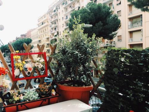 Bed & Breakfast Alloggio Turistico Eritrea 80