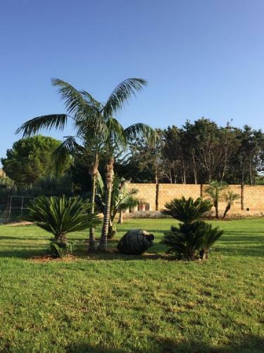 Aparthotel Residence Villaggio Petruso