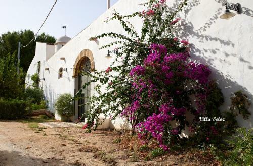 Apartamento Villa Velez