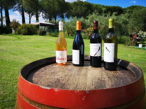 Agroturismo Poggio Verde