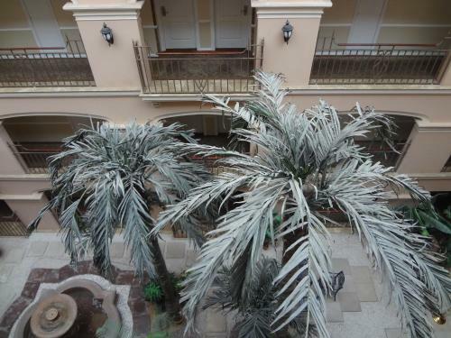 Hotel Tuli Imperial