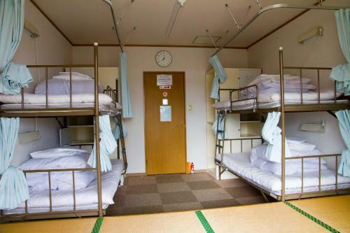 Yakushima Youth Hostel