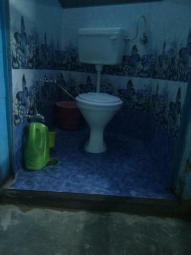 Bed & Breakfast Mayur Guest House
