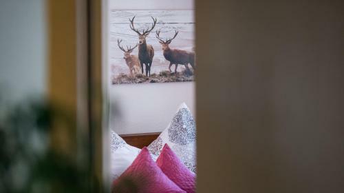 Apartamento Urgestein Ferien