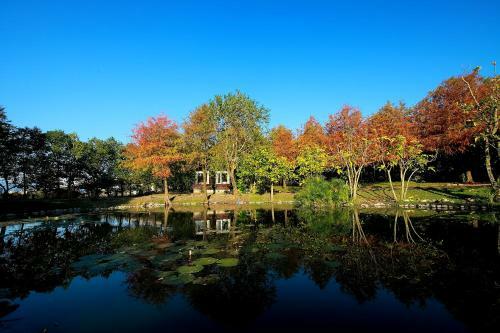 Green Forest Villa