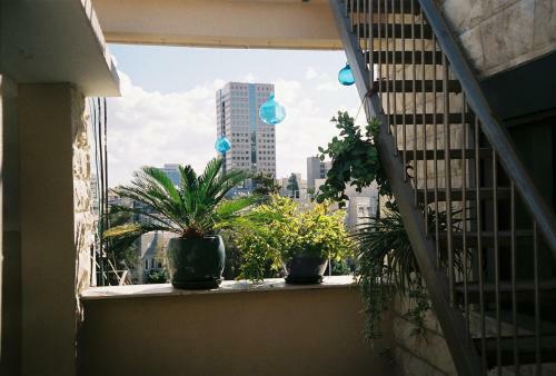 Apartment Haifa