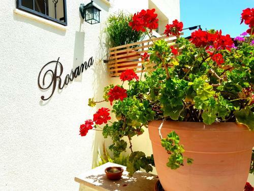 Hostal Rosana Guest House