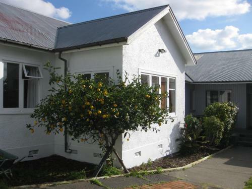 Albergue 42b College House