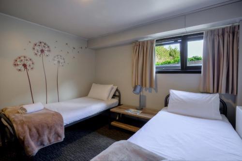 Albergue The Black Sheep Backpackers