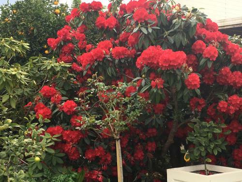 Hostal Aylstone Martinborough